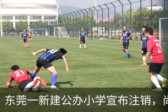 东莞一新建公办小学宣布注销，尚未招生便停办
