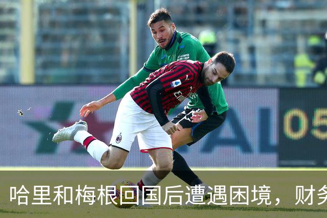 哈里和梅根回国后遭遇困境，财务状况引发关注