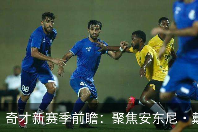 奇才新赛季前瞻：聚焦安东尼·戴维斯的角色