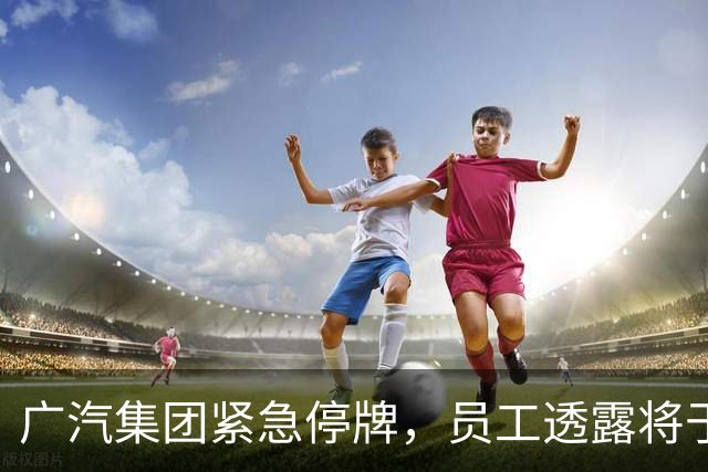 广汽集团紧急停牌，员工透露将于收市后发布重要公告