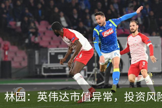 林园：英伟达市值异常，投资风险不可忽视