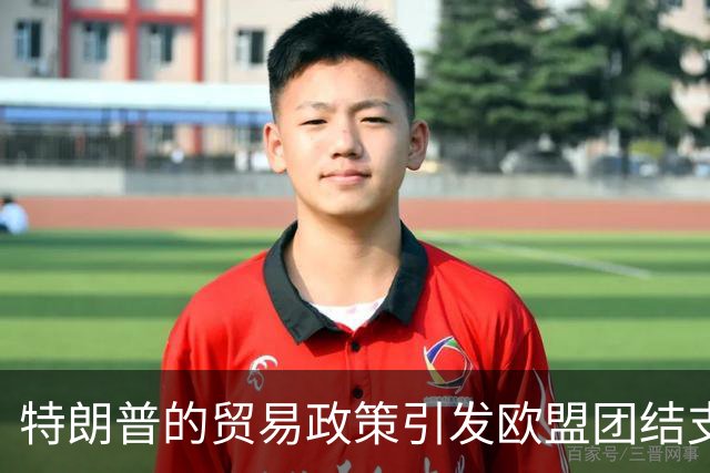 特朗普的贸易政策引发欧盟团结支持加拿大