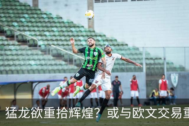 猛龙欲重拾辉煌？或与欧文交易重塑阵容