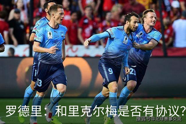 罗德里：和里克尔梅是否有协议？有关我的未来都要到世界杯后再说