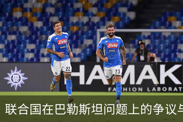 联合国在巴勒斯坦问题上的争议与米莱的批评