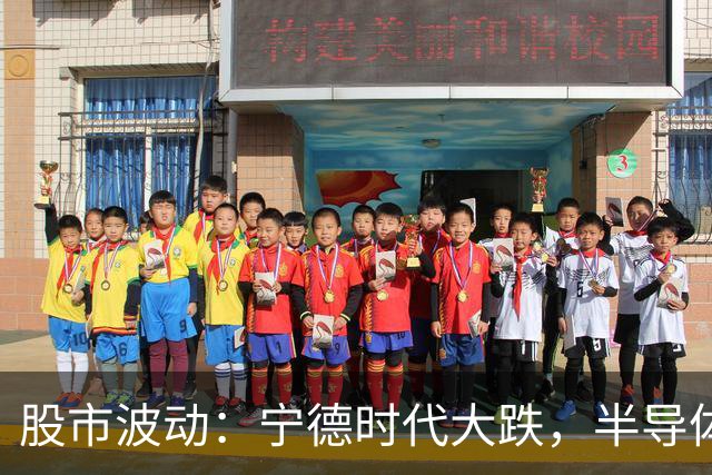 股市波动：宁德时代大跌，半导体板块逆势上涨