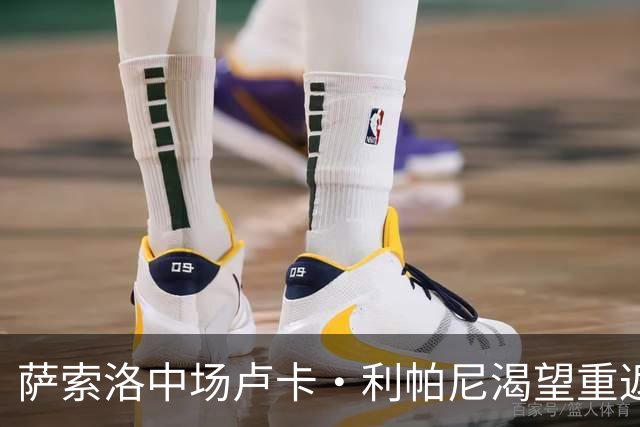 萨索洛中场卢卡·利帕尼渴望重返国家队