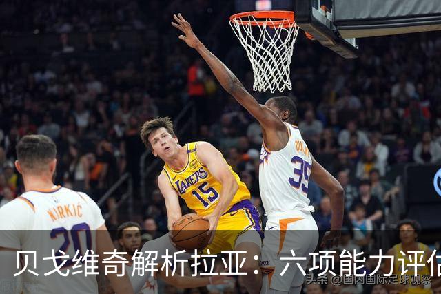 贝戈维奇解析拉亚：六项能力评估