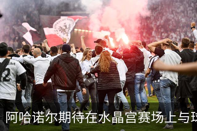 阿哈诺尔期待在水晶宫赛场上与球迷共鸣
