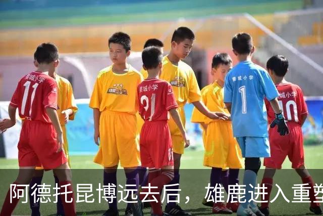 阿德托昆博远去后，雄鹿进入重塑期