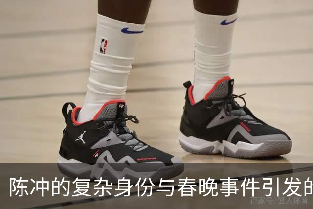 陈冲的复杂身份与春晚事件引发的争议