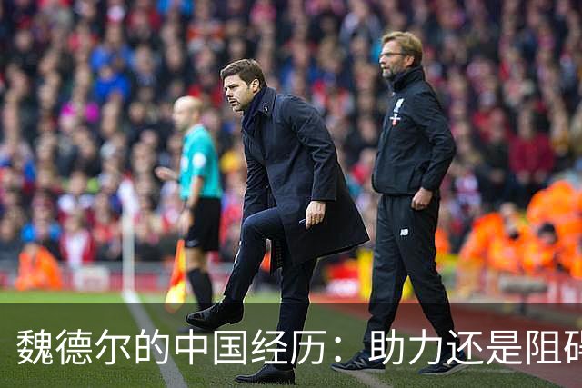 魏德尔的中国经历：助力还是阻碍她的政治道路？