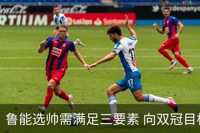 鲁能选帅需满足三要素 向双冠目标发起冲击